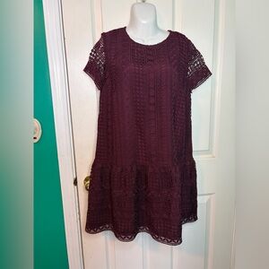 NWT LOFT Deep Wine Lace Mini Dress